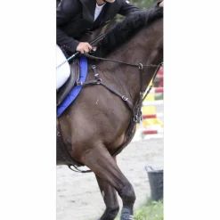Collier de chasse en cuir marron Equipe