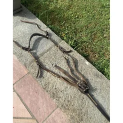 Collier de chasse en cuir chetak (taille cheval)