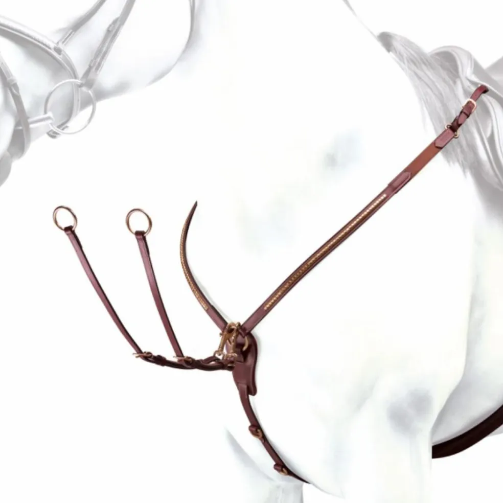 Collier de chasse en Y, avec martingale, détails clincher, Équipe Emporio