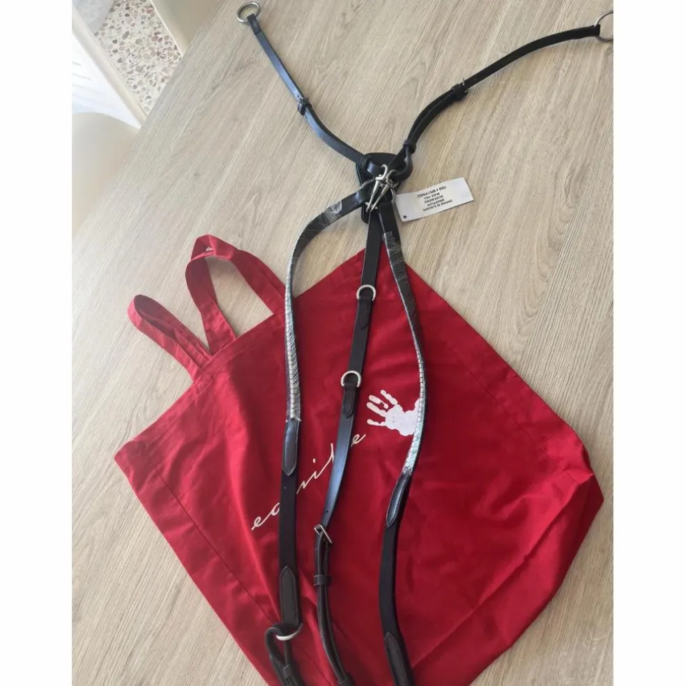 Collier de chasse en Y, avec martingale, détails clincher, Équipe Emporio