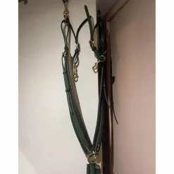 collier de chasse endurance T de T vert