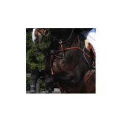 Collier de chasse EQUIPE