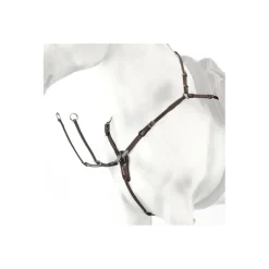 Collier de chasse EQUIPE