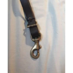 Collier de chasse Eric Thomas