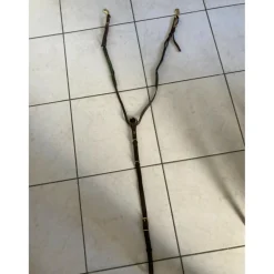 Collier de chasse eric thomas
