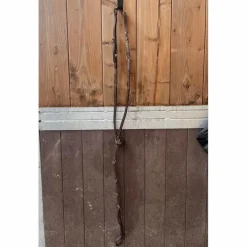 Collier de chasse Eric Thomas taille cheval