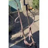 Collier de chasse Eric Thomas taille cheval