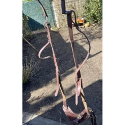 Collier de chasse Eric Thomas taille cheval