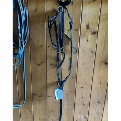 Collier de chasse et martingale