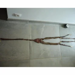 Collier de chasse et martingale