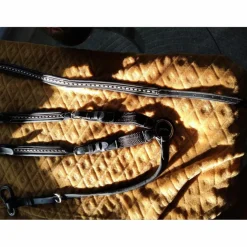 Collier de chasse et martingale Pénélope