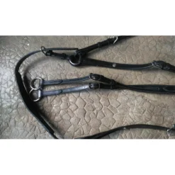 Collier de chasse et martingale à anneaux BRUNO DELGRANGE