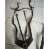 Collier de chasse et martingale CSO