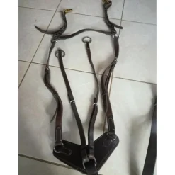 Collier de chasse et martingale CSO