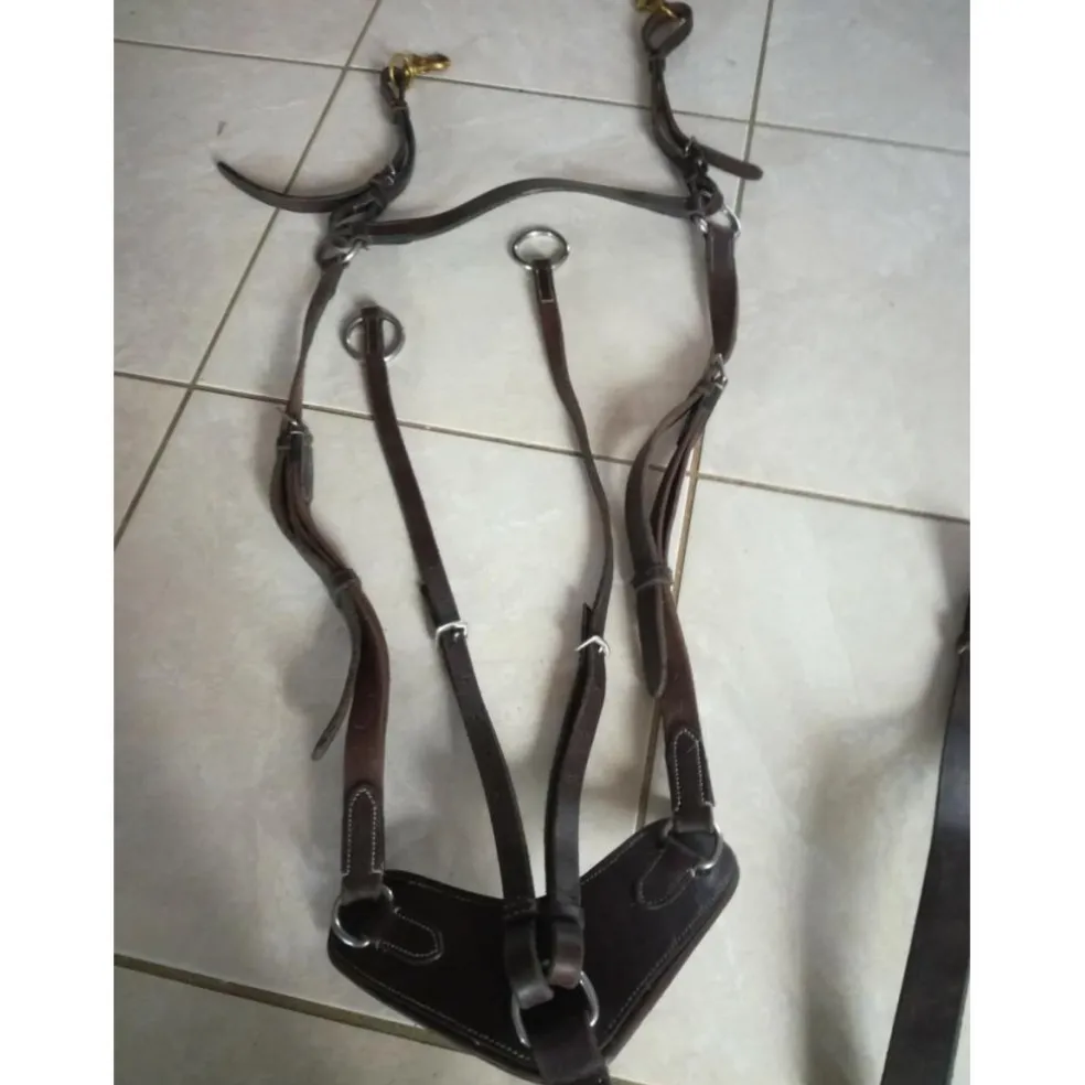 Collier de chasse et martingale CSO