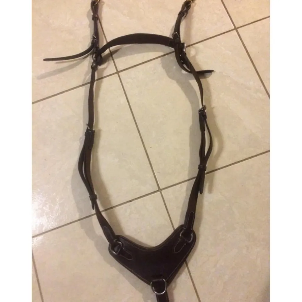 Collier de chasse et martingale CSO