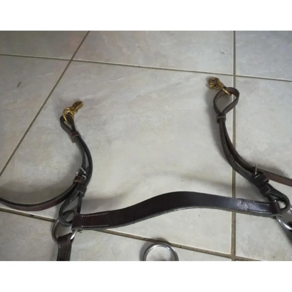 Collier de chasse et martingale CSO