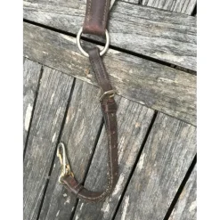 Collier de chasse et martingale