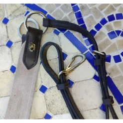 Collier de chasse et martingale amovible