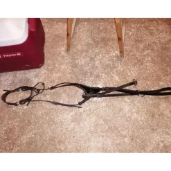 Collier de chasse et martingale