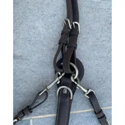 Collier de chasse Fancy Richtan Treadstone
