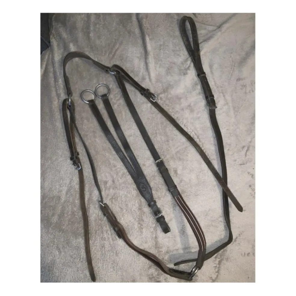 Collier de chasse Fouganza
