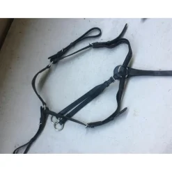 Collier de chasse FOUGANZA