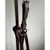 Collier de chasse GBS