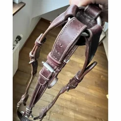 Collier de chasse GBS
