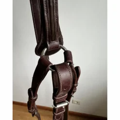 Collier de chasse GBS