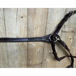 Collier de chasse GBS