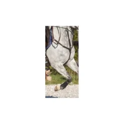 collier de chasse Greenfield