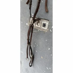 Collier de chasse Greenfield