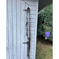 collier de chasse havane LJ