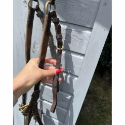 collier de chasse havane LJ