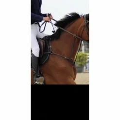 collier de chasse herve godignon taille 2