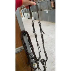collier de chasse herve godignon taille 2