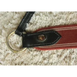 Collier de chasse hfi
