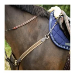 Collier de chasse HFI