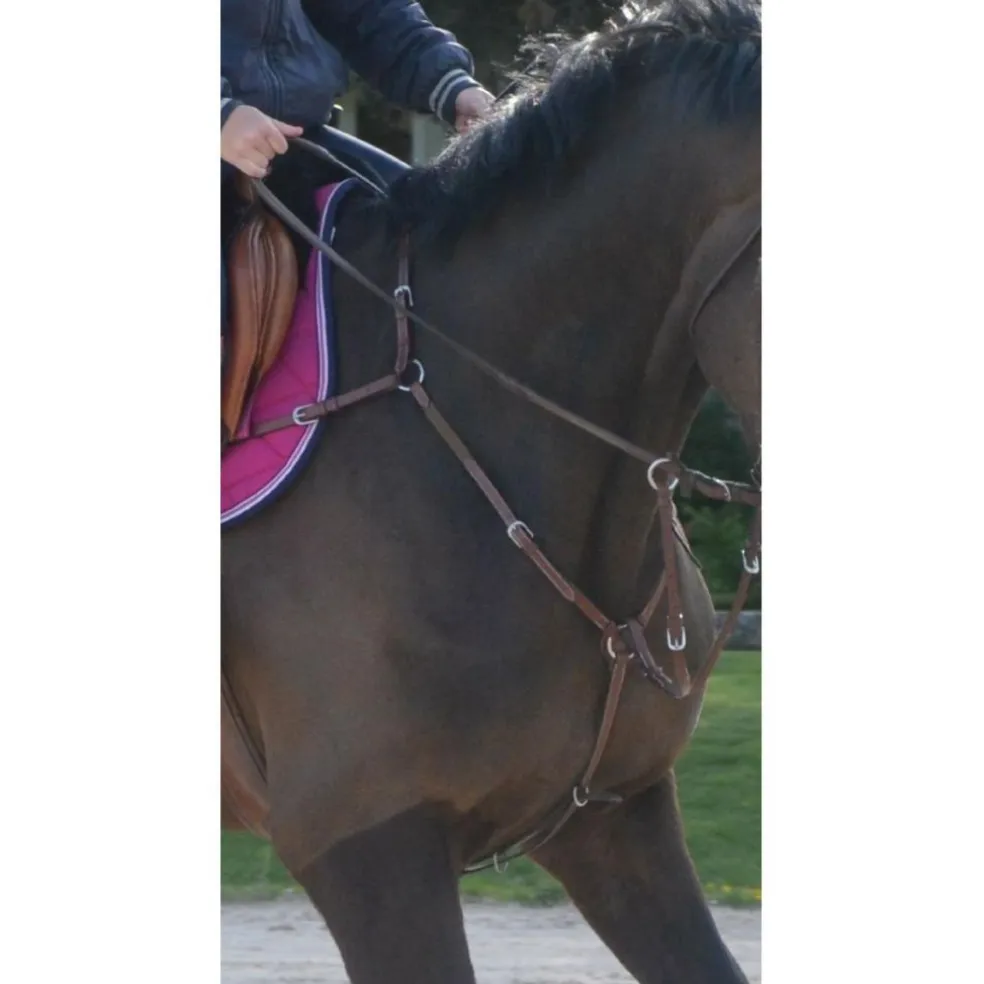 Collier de chasse Horse'in