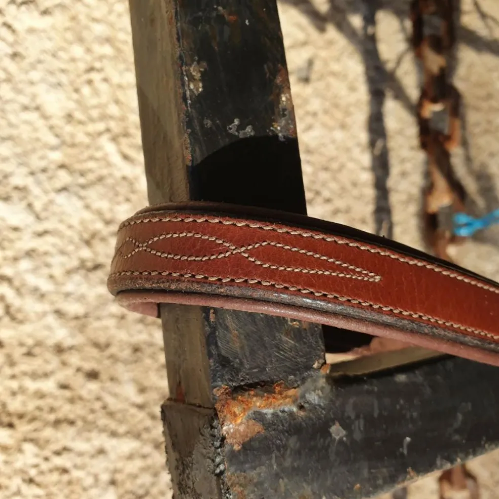 Collier de chasse Horse'in