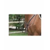 Collier de chasse jumpin