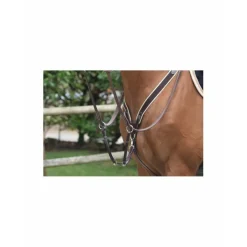 Collier de chasse jumpin