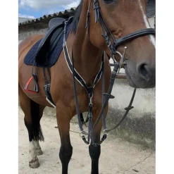 Collier de chasse jumpin
