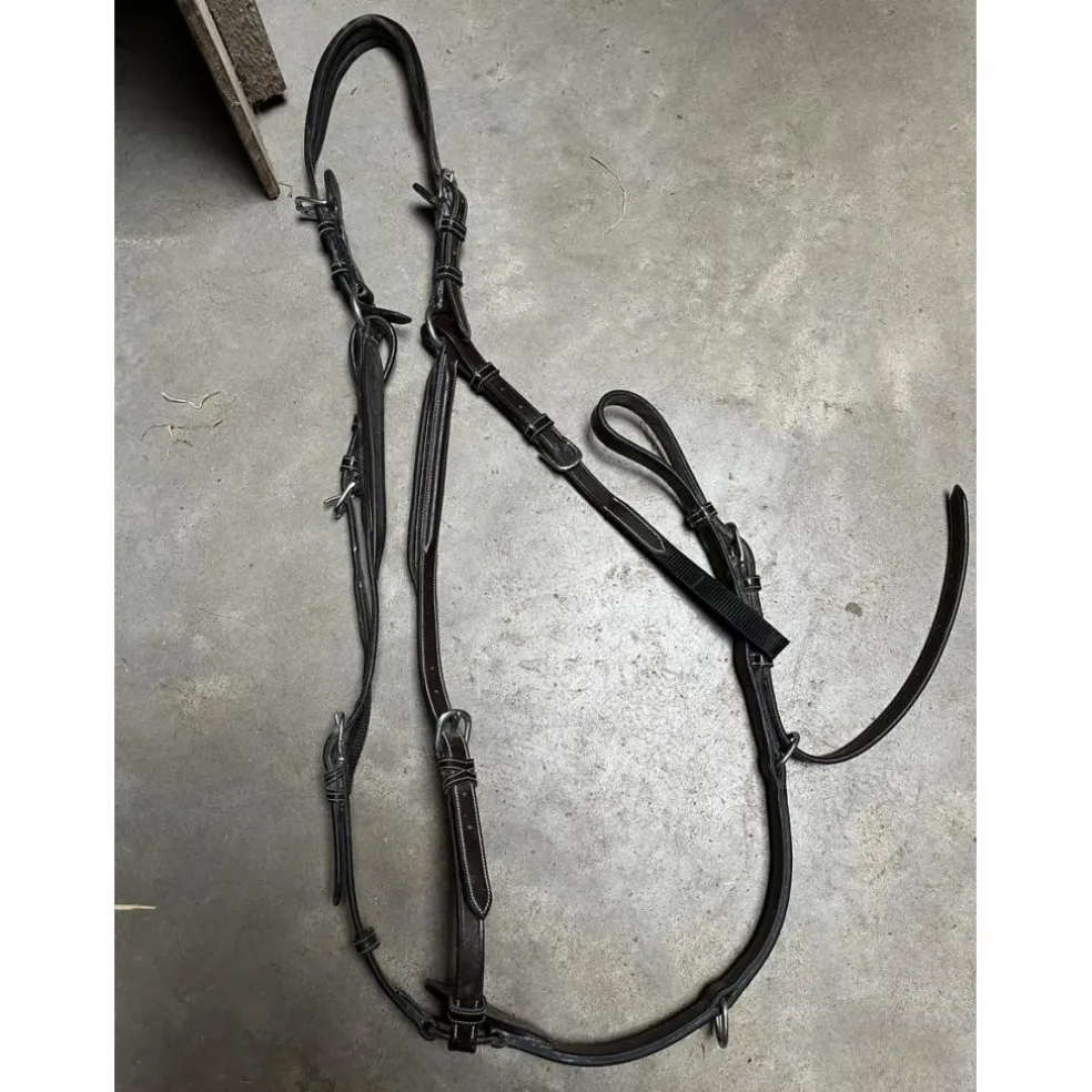 Collier de chasse jumpin