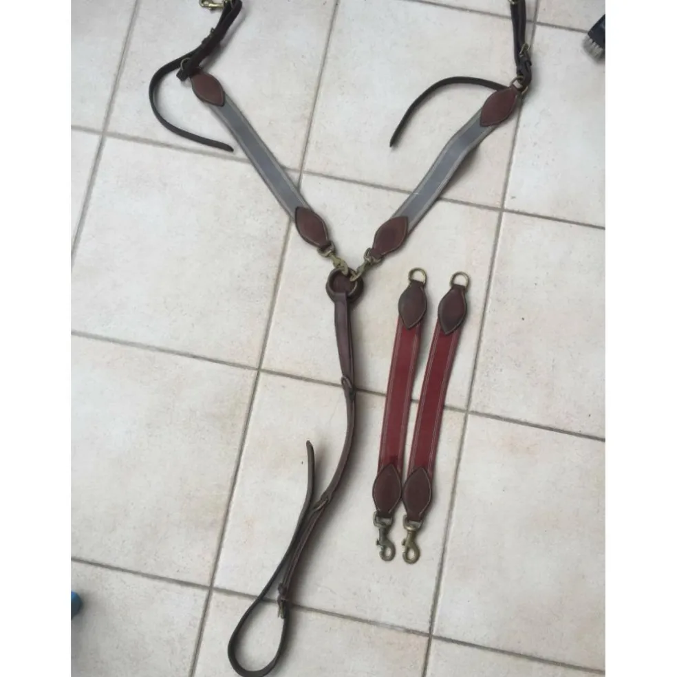 Collier de Chasse élastiques interchangeables