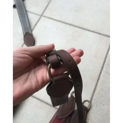 Collier de Chasse élastiques interchangeables