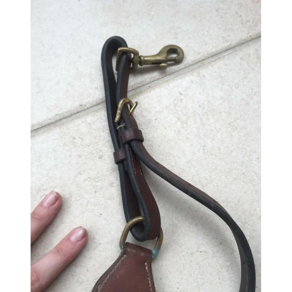 Collier de Chasse élastiques interchangeables