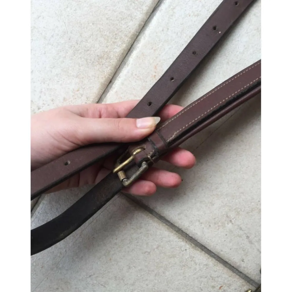 Collier de Chasse élastiques interchangeables