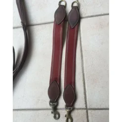 Collier de Chasse élastiques interchangeables